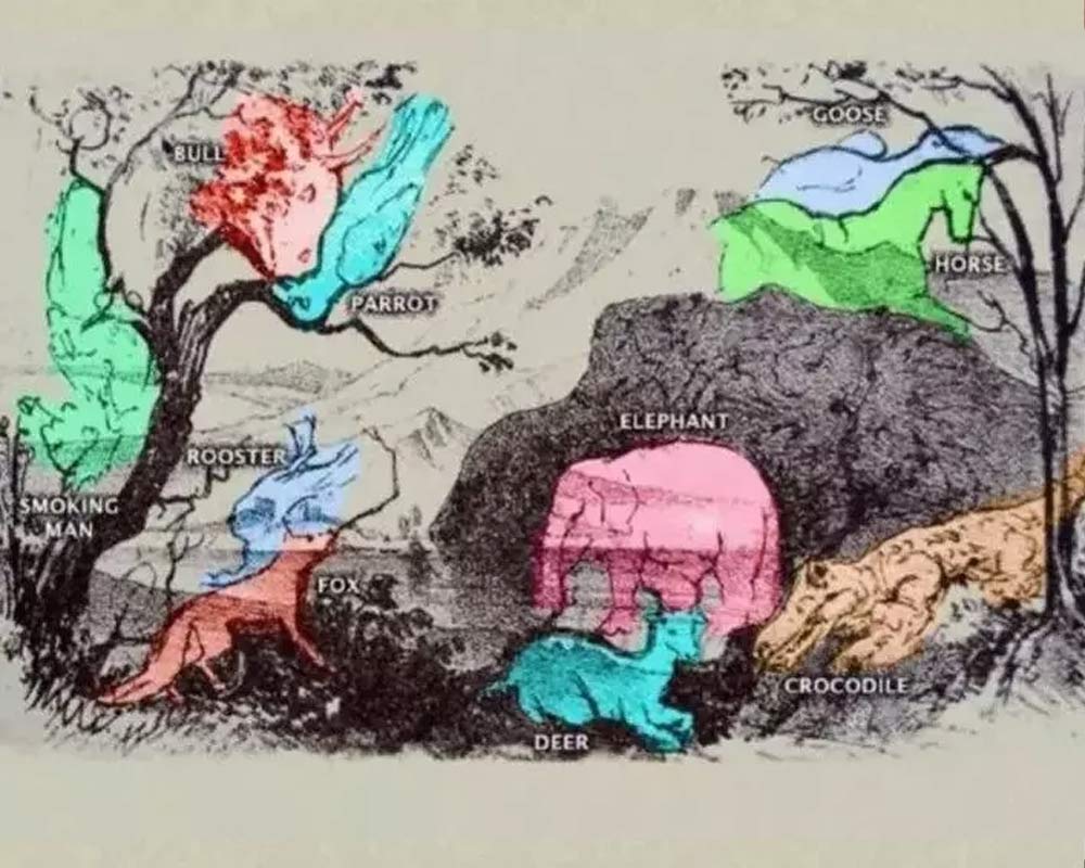 Optična iluzija: Samo 1 % ljudi bo našlo vseh 10 živali na ilustraciji