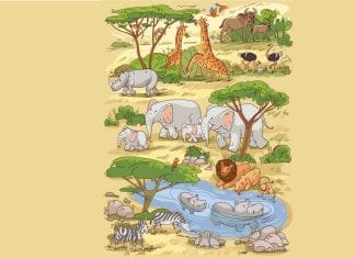 optična-iluzija-želva