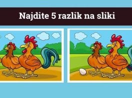 5-razlik-uganka