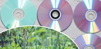 cd-na-vrtu