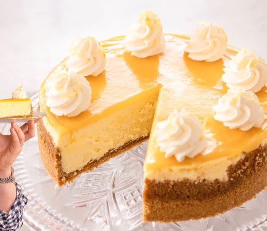 limonin-cheesecake