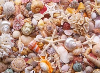 Optična iluzija: Ste med 1 % najpametnejših ljudi, če najdete skrit emotikon v 10 sekundah optična-iluzija