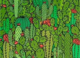 optična-iluzija-kaktusi
