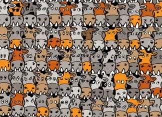 Optična iluzija: Če imate visok IQ, boste psa na sliki našli v 5 sekundah optična-iluzija-