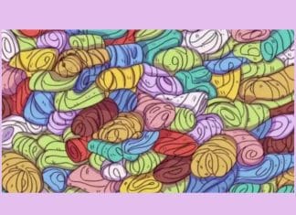 optična-iluzija-pes-med-volno