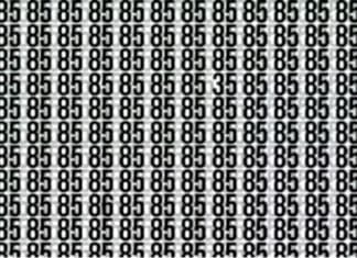 Optična iluzija: Lahko najdete številko, ki se ne ujema z ostalimi? optična-iluzija