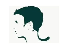 optična-iluzija-strah