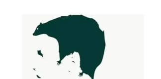 optična-iluzija-strah