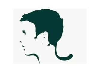 optična-iluzija-strah