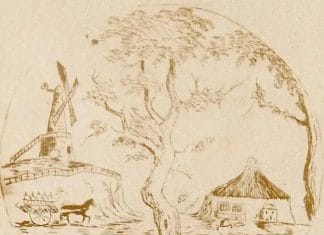 Optična iluzija: Na sliki se skriva osel, ga najdete v 15 sekundah? optična-iluzija