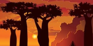 optična iluzija žirafa