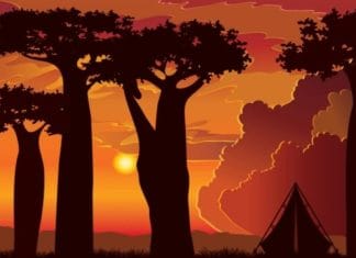 optična iluzija žirafa