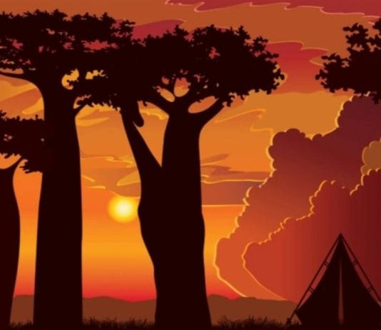 optična iluzija žirafa