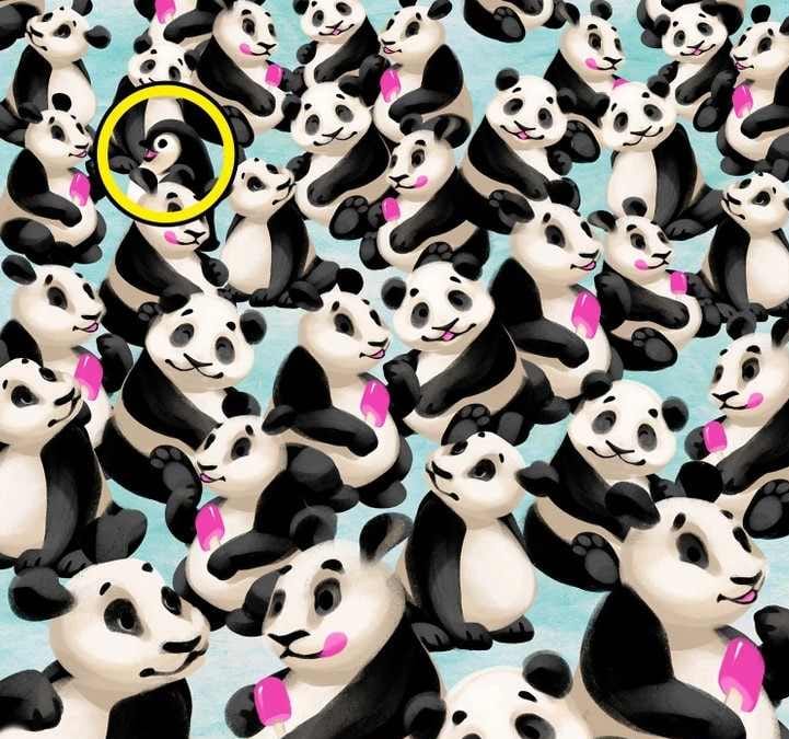 Optična iluzija: Ali lahko v 7 sekundah na sliki opazite pingvina, skritega med pandami?