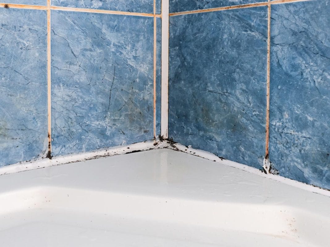 umazane-fuge umazane-fuge