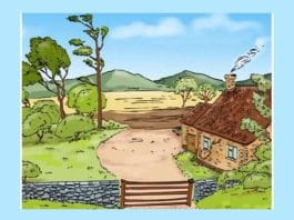 optična-iluzija