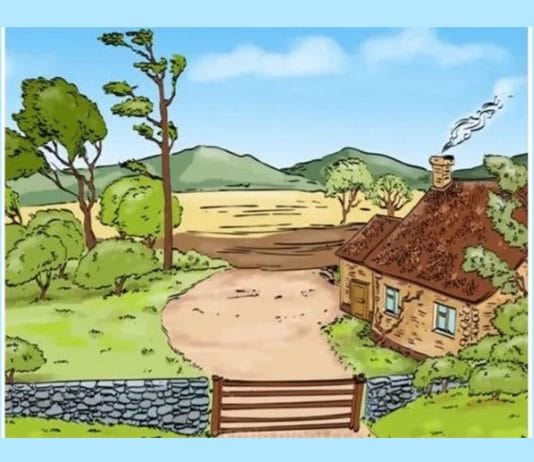 optična-iluzija