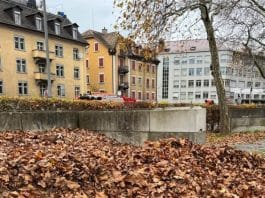 optična-iluzija-jesen