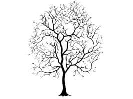 trije-zajci-optična-iluzija