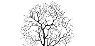 trije-zajci-optična-iluzija