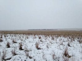 optična-iluzija