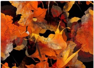 Optična iluzija: Le tisti z izjemnim vidom lahko najdejo lisico v 15 sekundah optična-iluzija-lisica