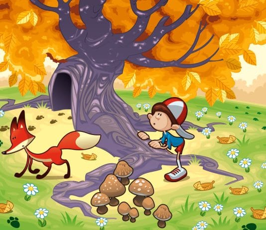 optična-iluzija-netopir