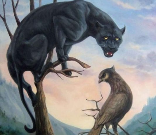 optična-iluzija-panter-ptica