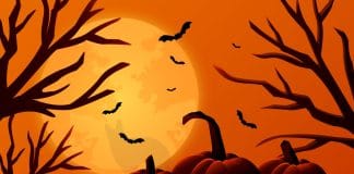 optična-iluzija-volk