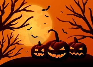 optična-iluzija-volk