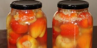 paprike-polnjene-s-kislim-zeljem