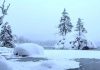 optična-iluzija-polarni-medved