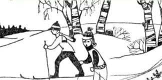 optična-iluzija-zajec