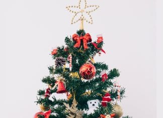 Optična iluzija: Nekje na božičnem drevesu je skrit medvedek, ga najdete v 3 sekundah? medvedek