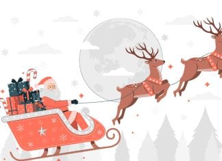 optična-iluzija-božiček