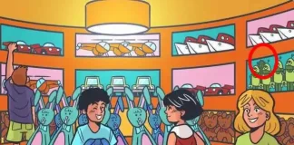 optična iluzija kaktus rešitev