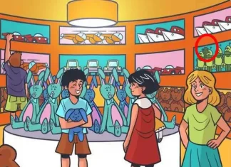 Optična iluzija: Na sliki se nekje skriva kaktus, vaša naloga je, da ga najdete v 10 sekundah optična iluzija kaktus rešitev