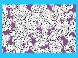 optična-iluzija-kocke