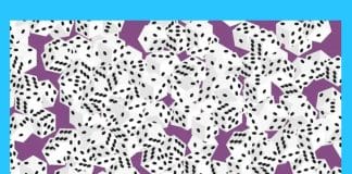 optična-iluzija-kocke