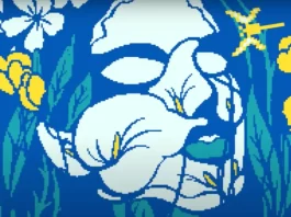 optična iluzija osebnost