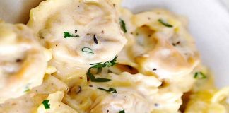 tortelini-alfredo