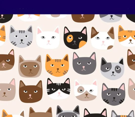 muca-s-srčkastim-noskom