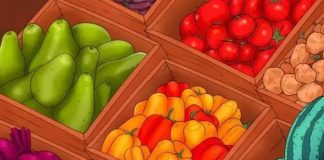 najdi-korenje-optična-iluzija