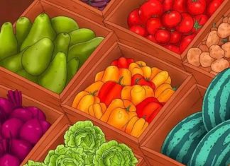 najdi-korenje-optična-iluzija