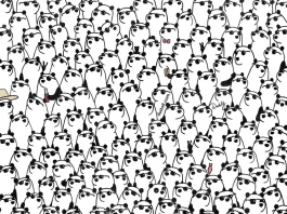 optična iluzija pande