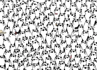 optična iluzija pande