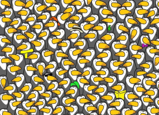 optična iluzija pingvin