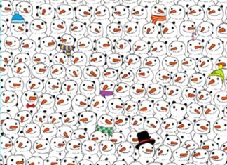 Optična iluzija: Vsi lahko vidimo snežake, pando opazijo le izbrani snežak