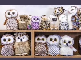 sova-optična-iluzija