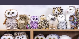 sova-optična-iluzija